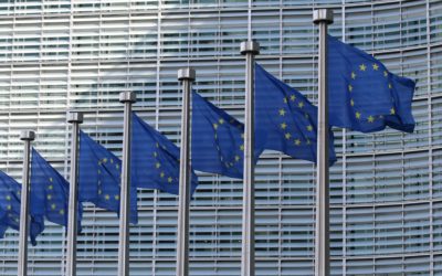 Digital Services Act: Ecommerce Europe’s comments on the ongoing negotiations