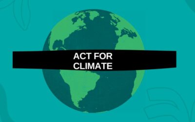 LivingPackets – Act for climate