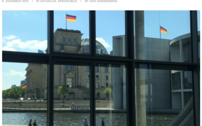Beratung oder Agentur? Die Verortung von professioneller Public Affairs