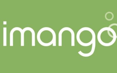 limango erweitert Marktplatzmodell um Ship from Store-Lösung
