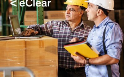 How can companies successfully overcome the numerous hurdles in customs procedures?