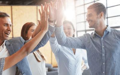 spring sucht Verstärkung – Sachbearbeiter E-Commerce im Innendienst / Vertrieb (m/w/d)