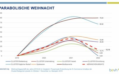 WEIHNACHTSGESCHÄFT BRINGT KEINE BESSERUNG IM E-COMMERCE