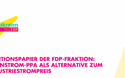 POSITIONSPAPIER der FDP-Fraktion: Eigenstrom-PPA als Alternative zum Industriestrompreis
