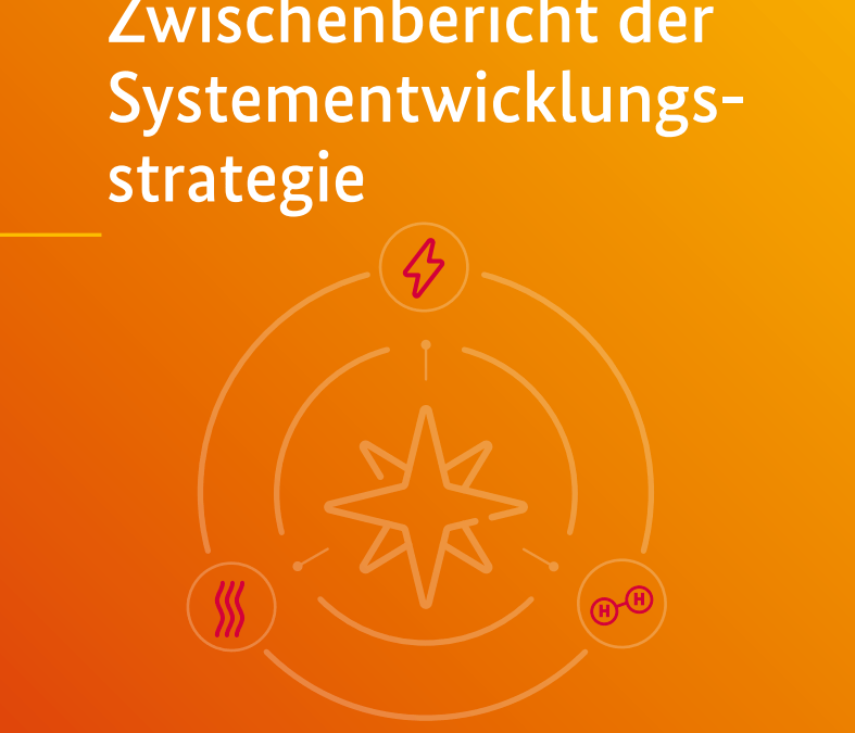 Zwischenbericht der Systementwicklungsstrategie