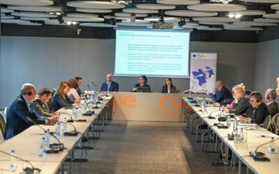 CEFTA Expert Group on Customs E-commerce